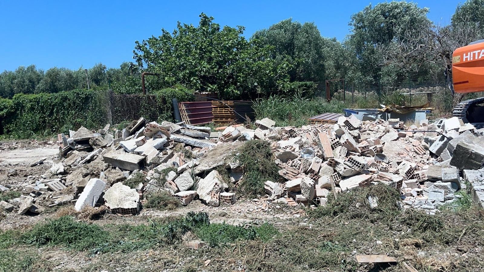 L’oasi dei cani «abusiva» e «senza autorizzazioni» a Lamezia Terme