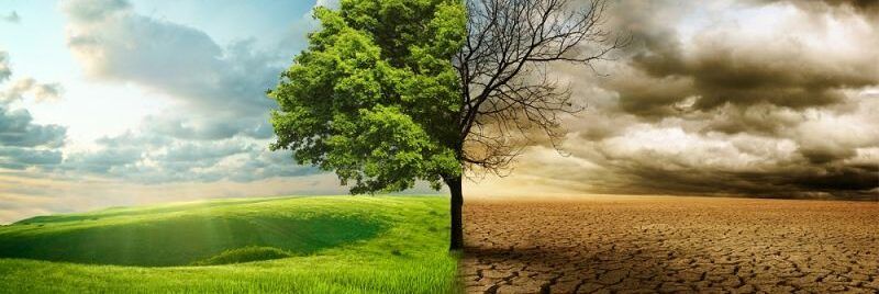 «I cambiamenti climatici penalizzano l’agricoltura»