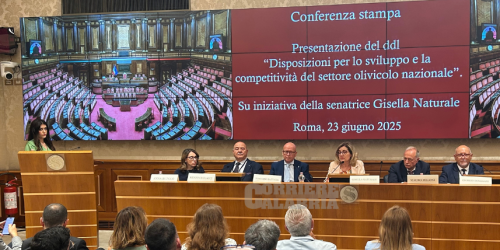 ddl senato settore olivicolo