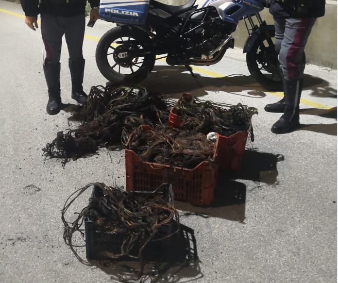 Rubano 140 chili di rame a Reggio, ai domiciliari due fratelli