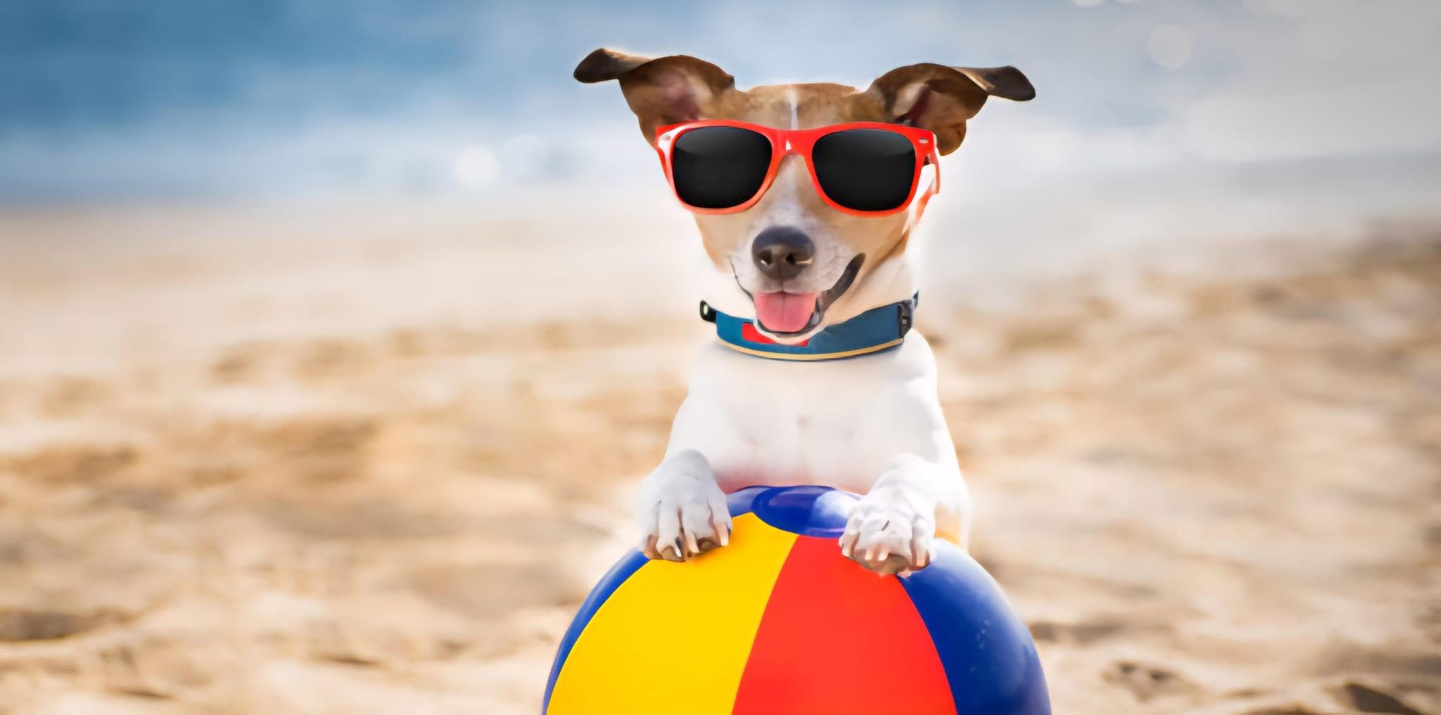 In Calabria il mese inizia bene… Per i giornalisti