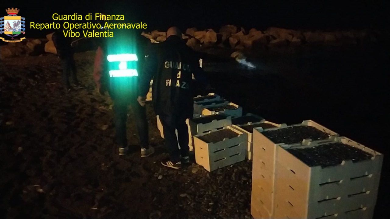 Corigliano, sequestrati 1500 chili di novellame, sanzioni per 135mila euro