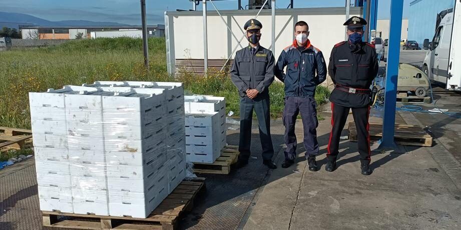 Sequestrata oltre una tonnellata di sardellina nell’Alta Sibaritide