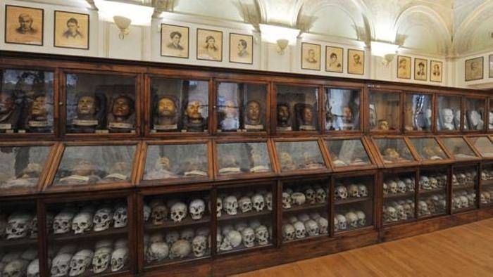 Il Comitato No Lombroso: «150 città contro il Museo di Antropologia criminale»