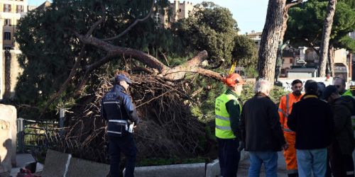 Roma, pino crolla ai Fori Imperiali: tre passanti colpiti