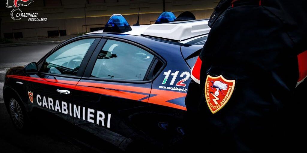 Delianuova, pulisce il giardino e trova due fucili nascosti in sacchi di plastica