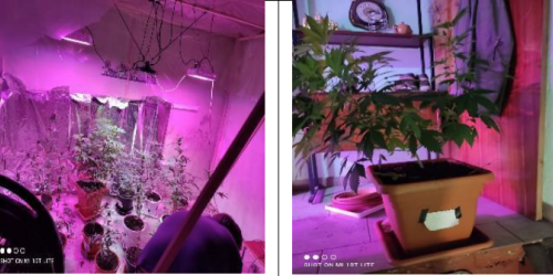 I rifornimenti a Rosarno e il covo nel centro di Cittanova. Il sistema della “New Age” dei pusher