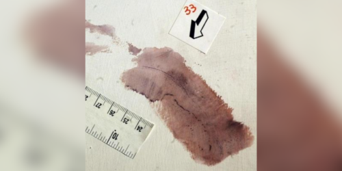 garlasco impronta 33