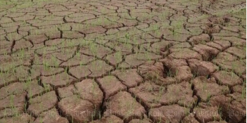 Clima, allarme siccità in Calabria: 121 giorni consecutivi senza pioggia sulla costa ionica