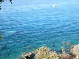 Messaggi in bottiglia per la difesa del mare