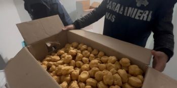 Blitz in un panificio nel Catanzarese, sequestrati 419 kg di alimenti non tracciati