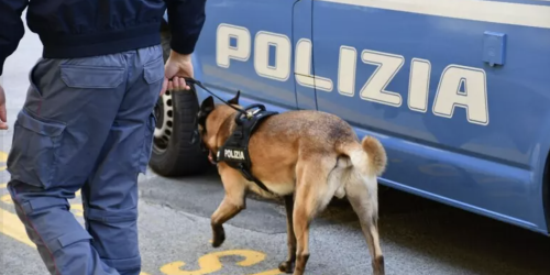 polizia cani