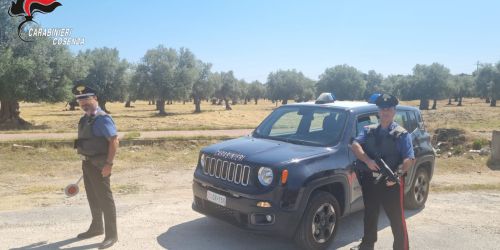 Corigliano Rossano, 32enne arrestato per furto di legna