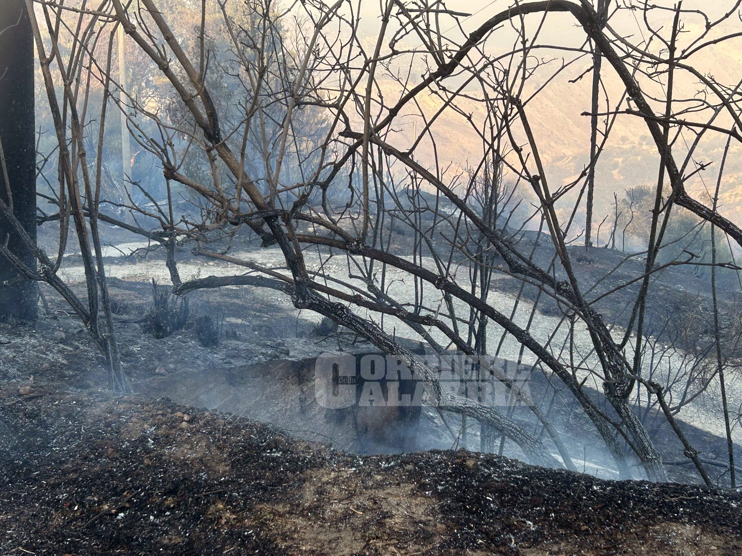 Emergenza incendi, le fiamme devastano Ardore Superiore – FOTO E VIDEO