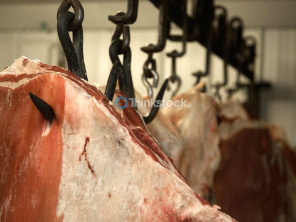 Fuscaldo, sequestrato il mattatoio