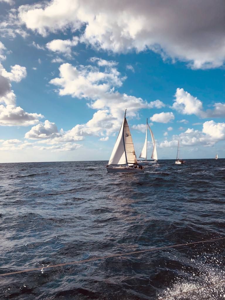 Vela, riprende il trofeo Marina Yacht club Tropea