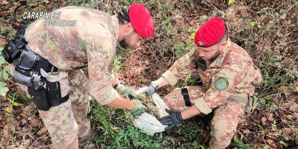 Armi, munizioni e sostanze stupefacenti sequestrate dai carabinieri nella Locride