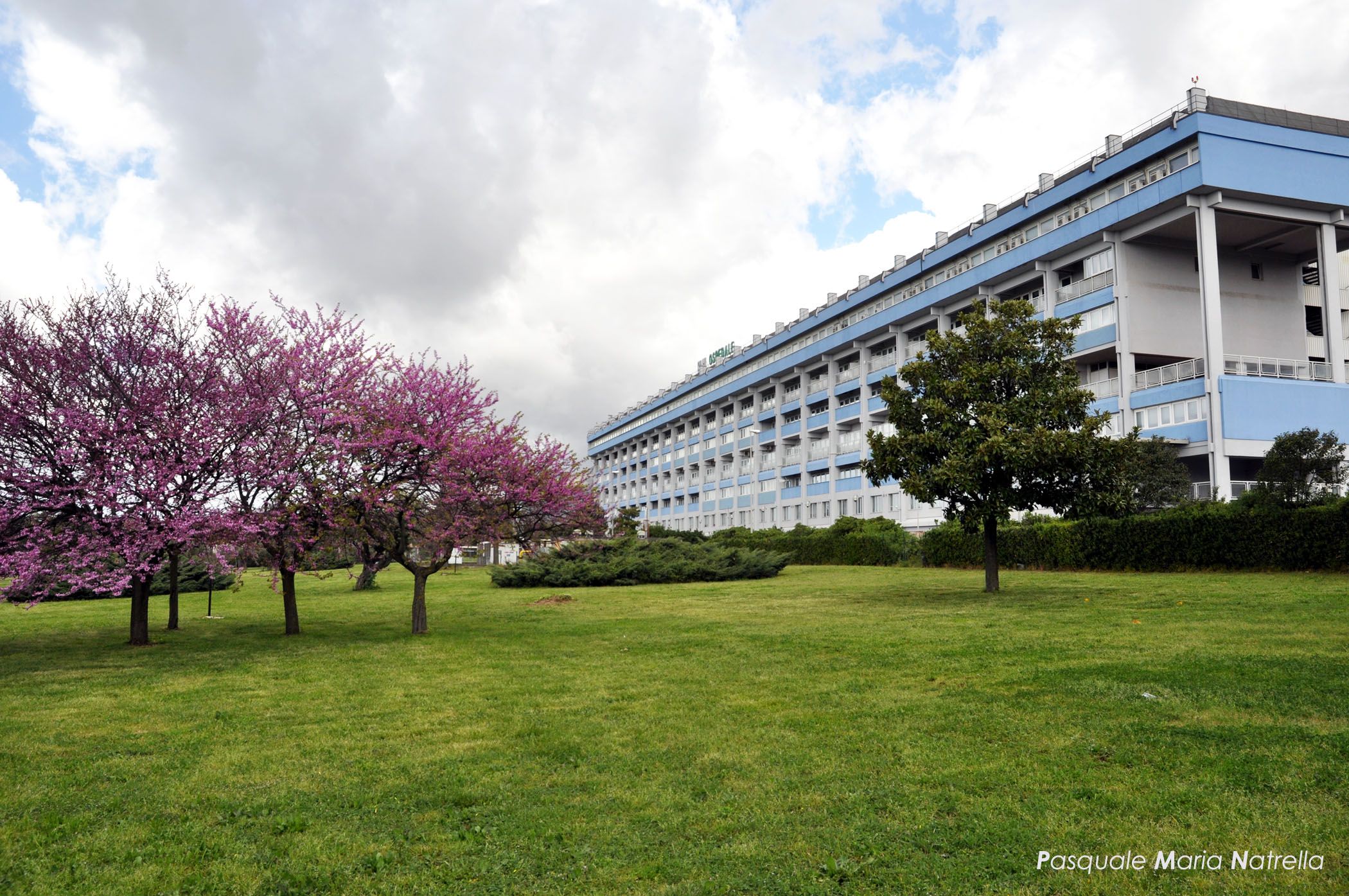 «Mio figlio curato all’ospedale di Lamezia, in Calabria c’è anche buona sanità»