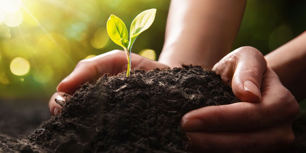 Sostenibilità e innovazione spingono l’agricoltura. Tre aziende calabresi tra le eccellenze italiane