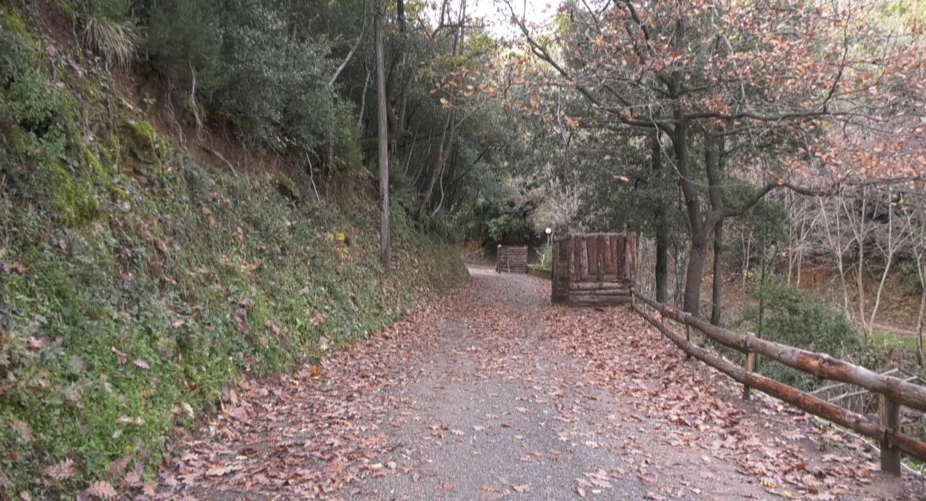 Tutto pronto per il Presepe vivente ad Acri. Fede, cultura e il tocco della tradizione – VIDEO