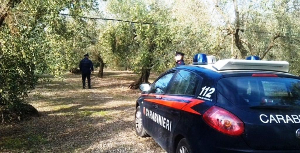 Atto intimidatorio a una cooperativa nel Reggino, rubati tutti i mezzi agricoli