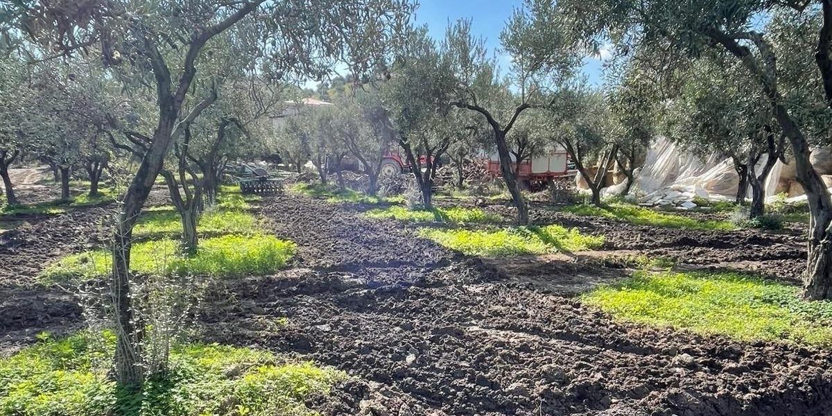 Sversamenti abusivi nei frantoi oleari: tre denunce a Strongoli – FOTO