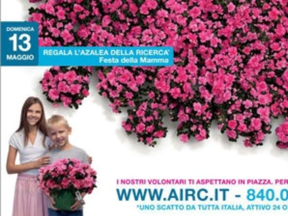 Oggi torna l`azalea contro il cancro