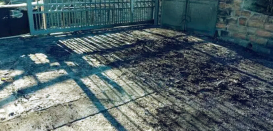 In fiamme l’auto della consigliera comunale di Bisignano Maria Rosaria Sita