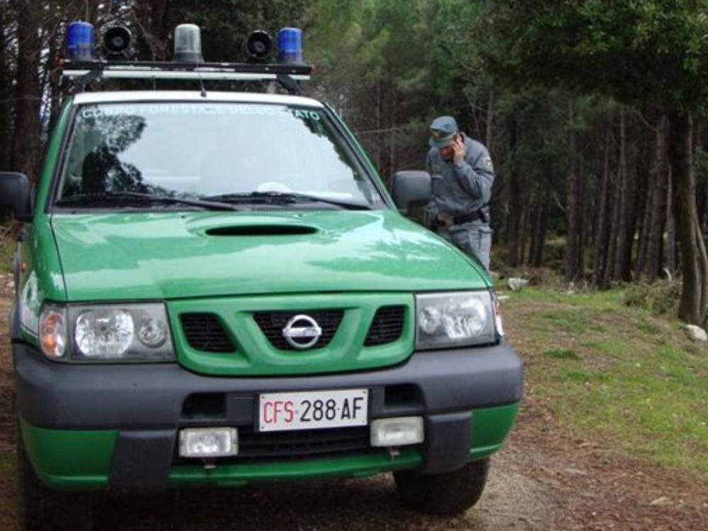 Sorpreso mentre appicca incendi, arrestato agricoltore