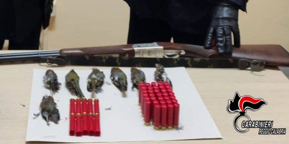 Sorpreso a sparare a fringuellini nel Reggino, denunciato 73enne