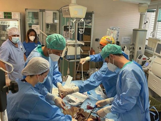 Stabili le condizioni del paziente “salvato” al Policlinico di Catanzaro