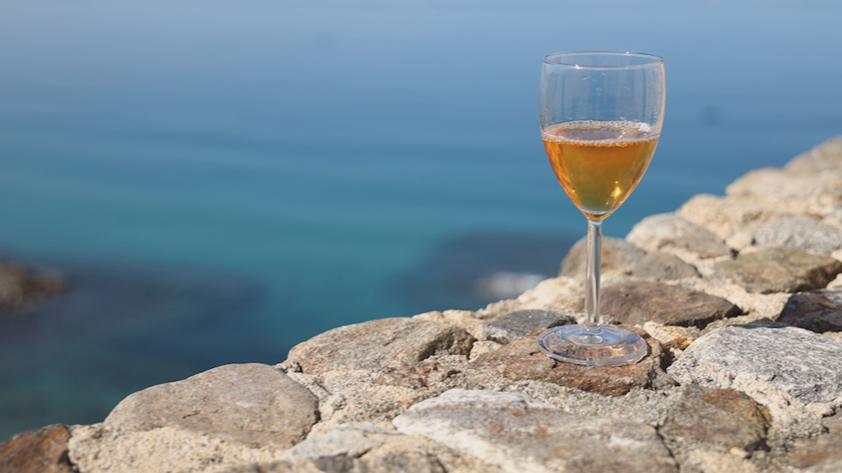 Vini e non solo. Dalle eccellenze del Vibonese la ricetta per lo sviluppo del territorio