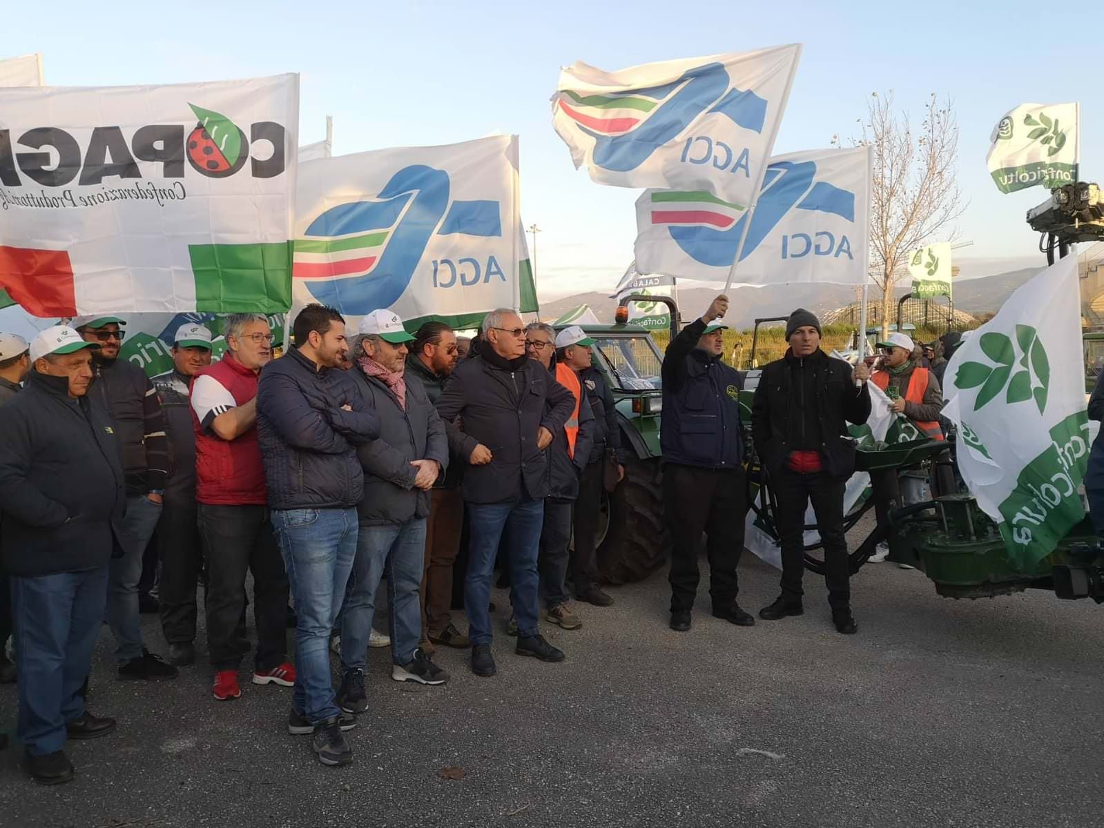 Un serpentone di 200 trattori "invade" Lamezia. Scatta la protesta degli olivicoltori – VIDEO E FOTO