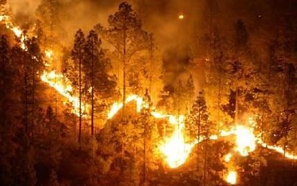 Incendi in Calabria, Greenpeace: senza prevenzione la situazione peggiorerà