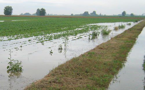 Maltempo, Coldiretti: danni ingenti all’agricoltura