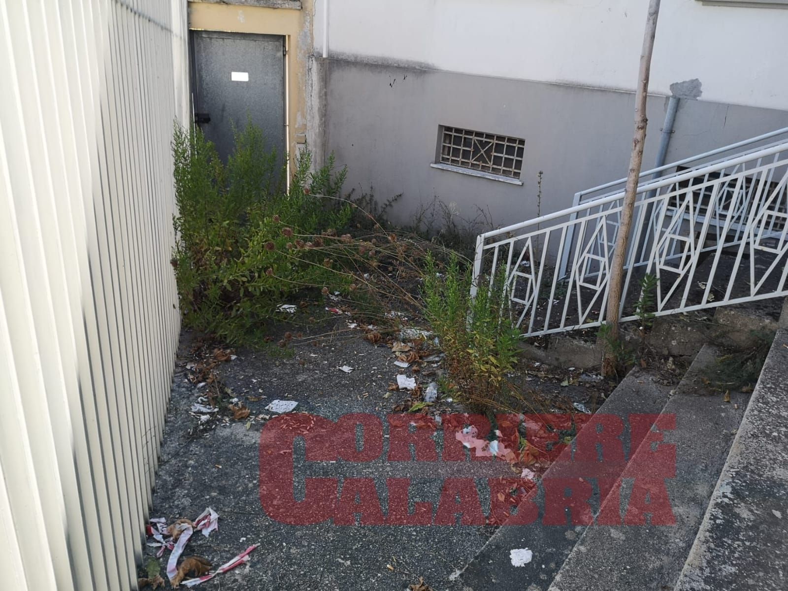 Escrementi, animali morti ed erbacce. L’aula bunker di Catanzaro è un monumento all’indecenza – FOTO