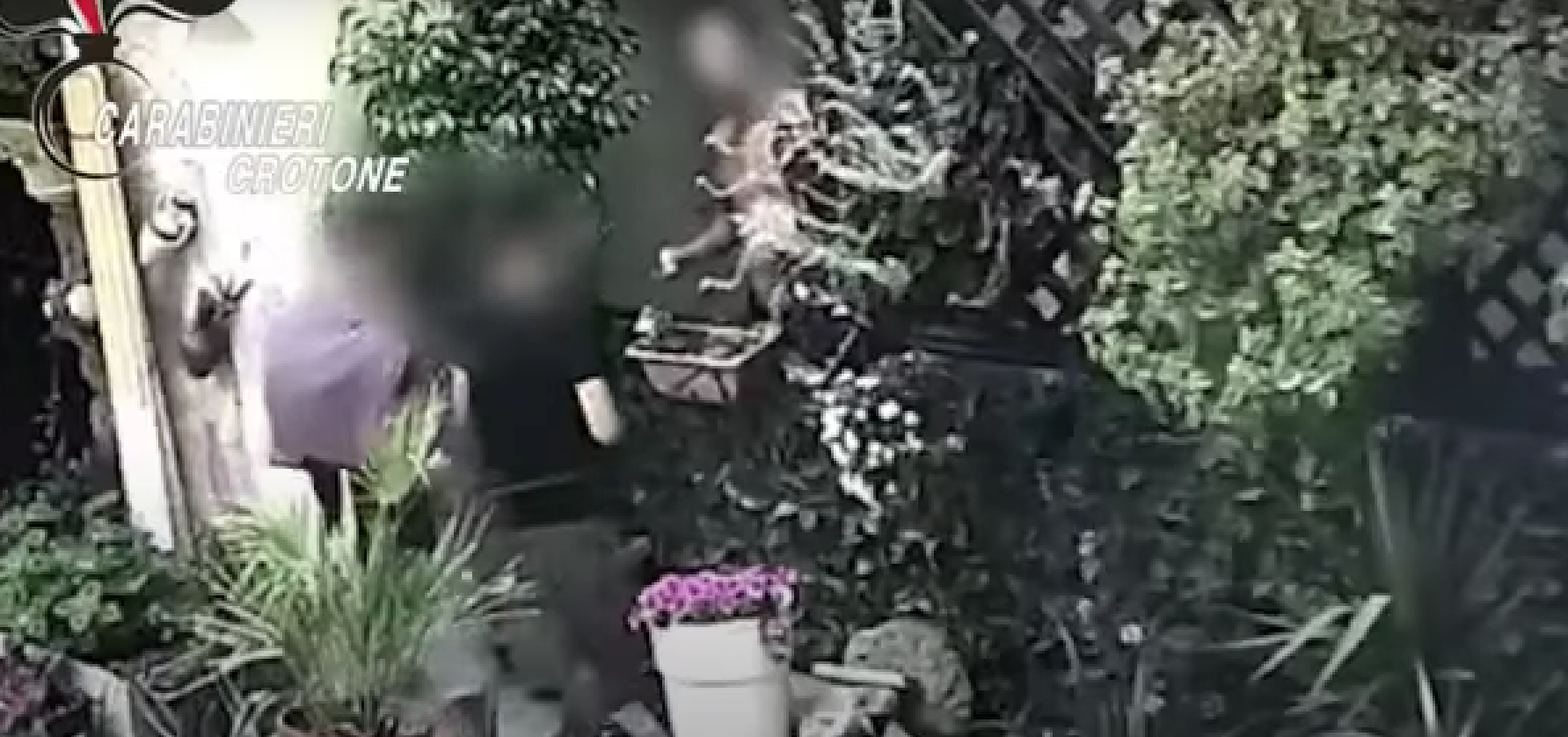 Fumo, erba e cocaina: la casa dello spaccio di Crotone e la «fila» di clienti