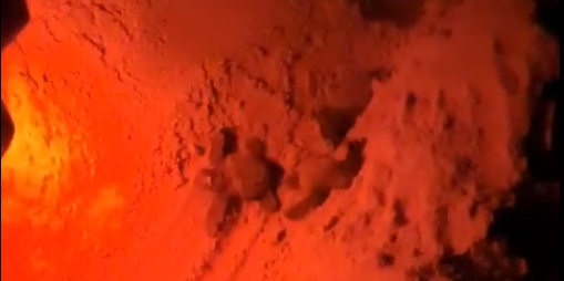 Giovani di Isola Capo Rizzuto mettono in salvo una nidiata di tartarughe Caretta Caretta