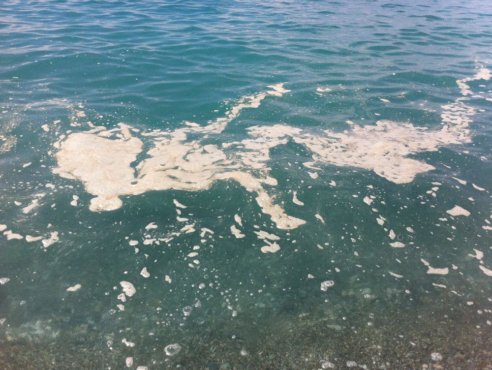 MARE SPORCO | Allarme escherichia coli a Grisolia
