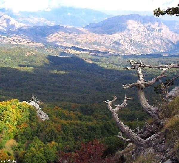 «Attraversando la natura»: Castrovillari e il Pollino a caccia di turisti
