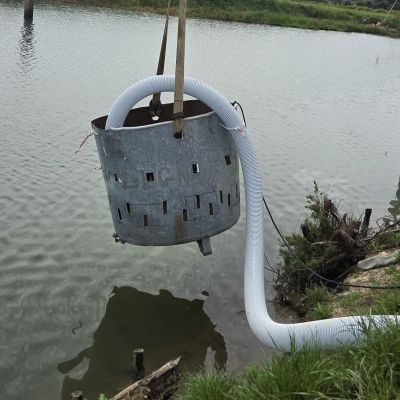 Sibari, riprese le operazioni di svuotamento dell’area archeologica di Casabianca