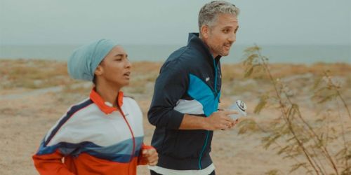 L'afide e la formica