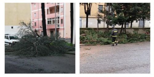 danni maltempo cosenza