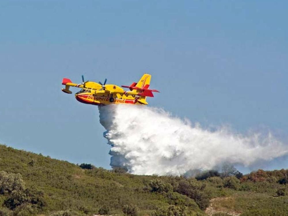 Sorpresi ad appiccare incendi nel Parco del Pollino, arrestati