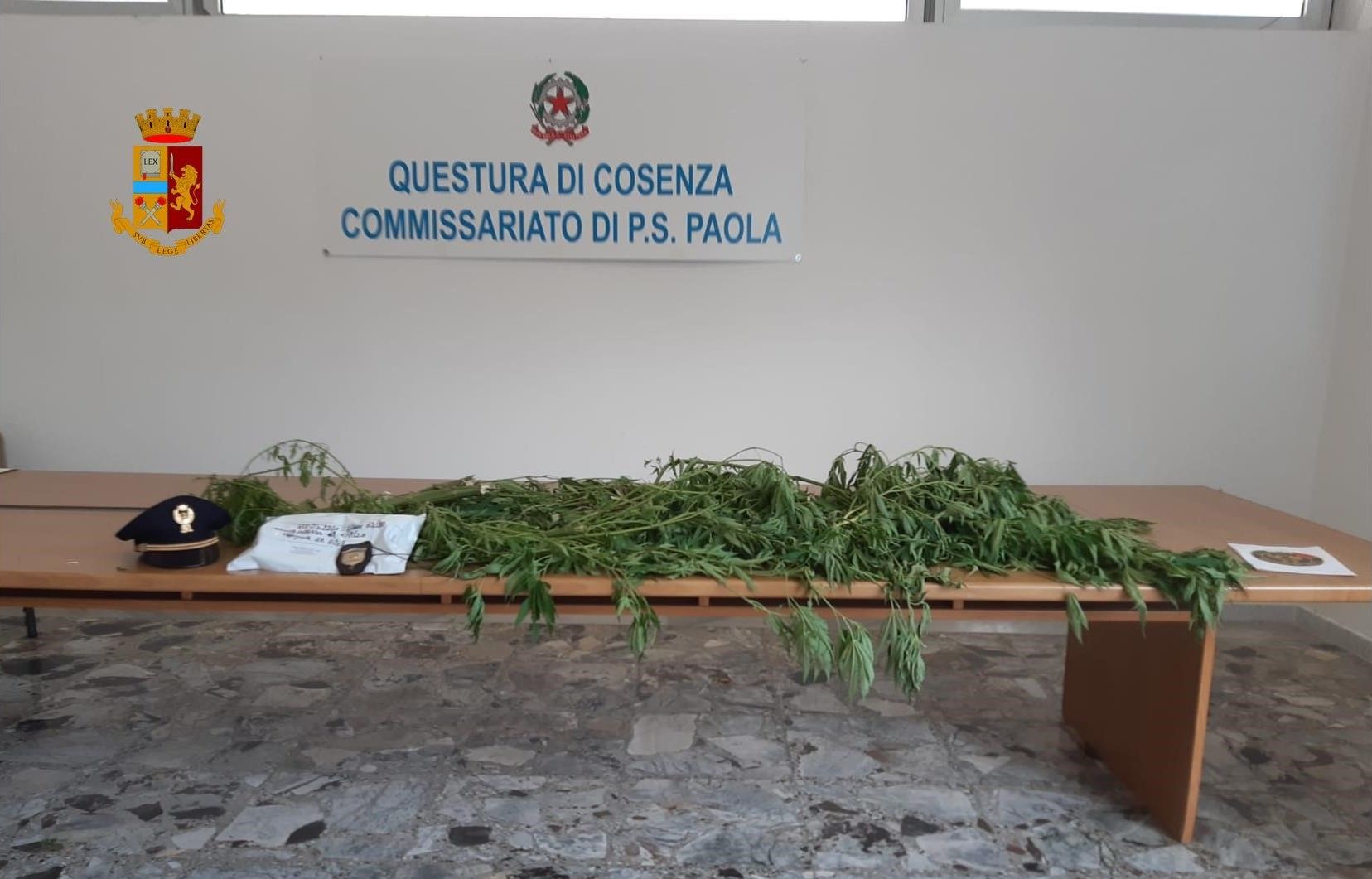 Scoperta una piantagione di marijuana, arrestato un uomo