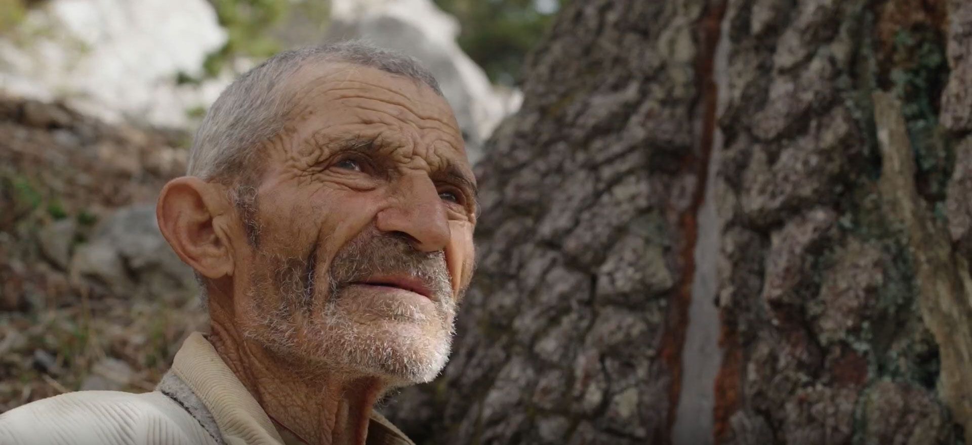 «Tifiamo Frammartino senza complessi. Il Buco oggi in sala»