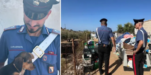 canile Quartu foto UnioneSarda online