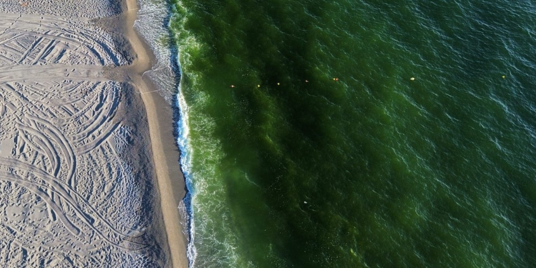 Il progetto da 100 milioni per salvare il mare di Curinga