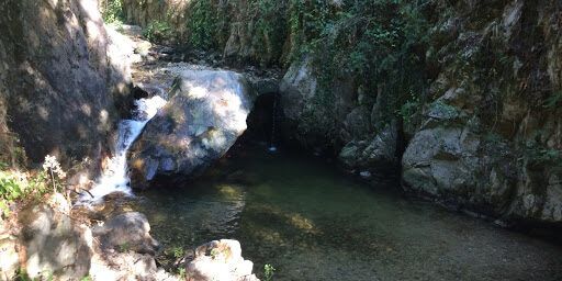 Terme di Galatro, Lione: «Fare rete per rilanciare l’appeal della Calabria»