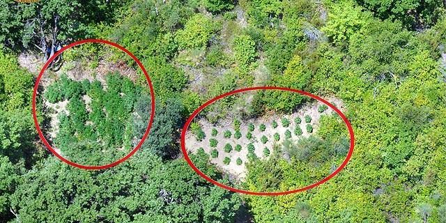 Calabria capitale dei narcos